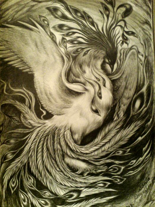 Drawings Of Phoenixes
