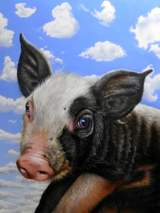 Pig in the Sky Painting  - Pig in the Sky Fine Art Print
