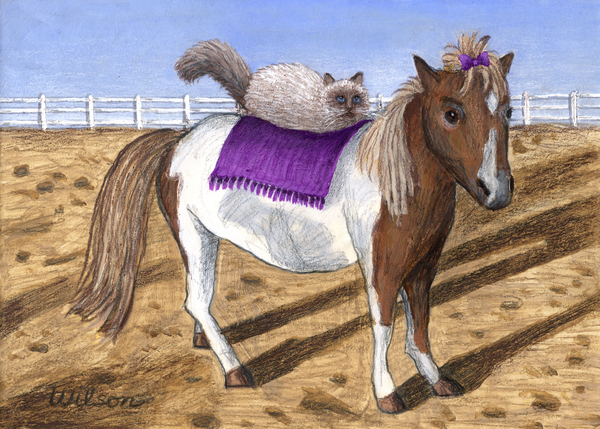 pony-lil-and-cat-annie-carol-wilson.jpg