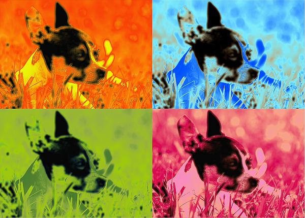 Chihuahua Pop Art