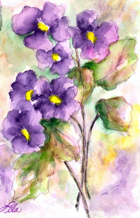  - purple-flowers-lila-van-pelt
