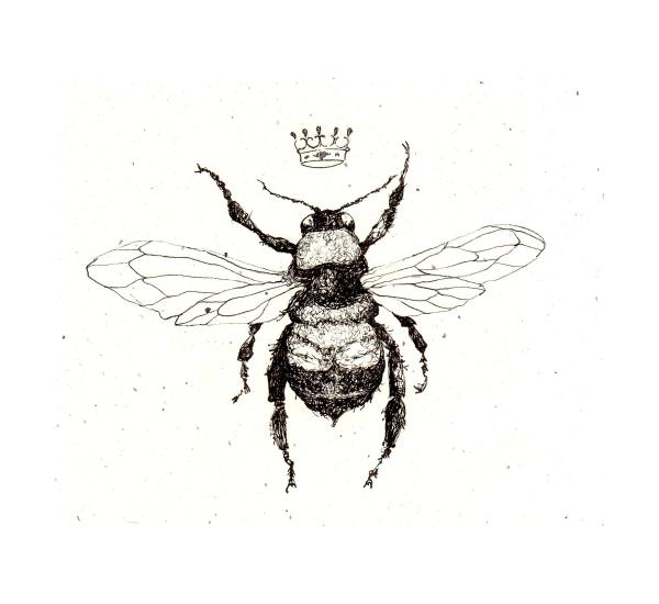 drawings of bees