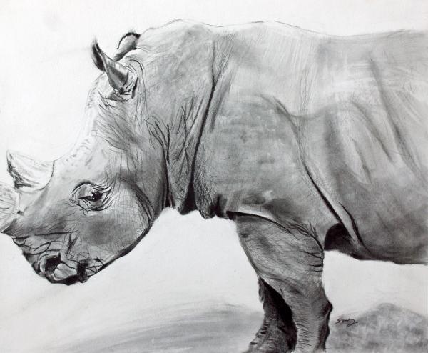 Draw Rhino