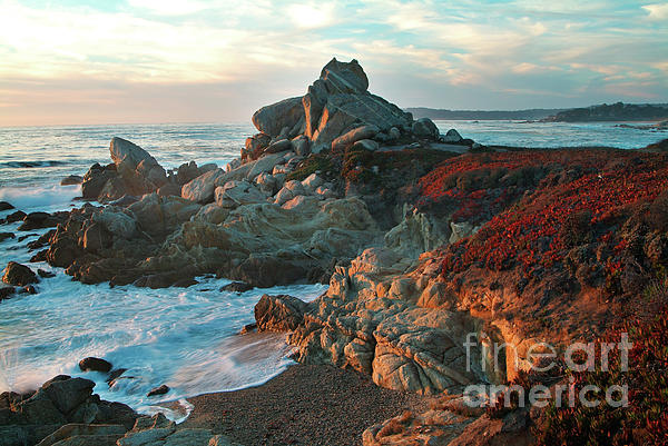 Carmel California Beaches