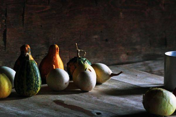 Rustic Still Life