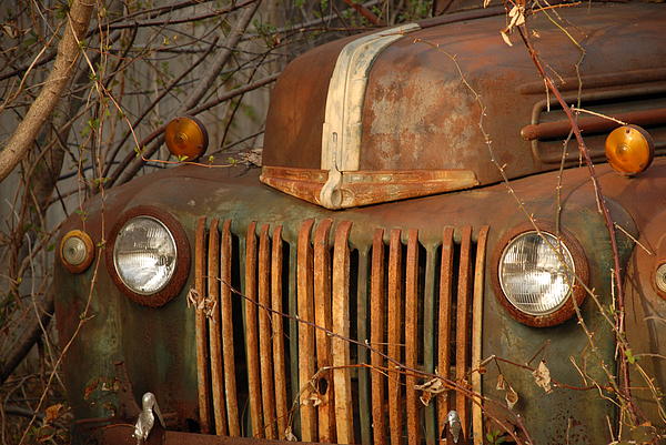 Rusty Ford