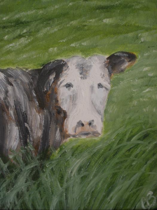 A Sad Cow