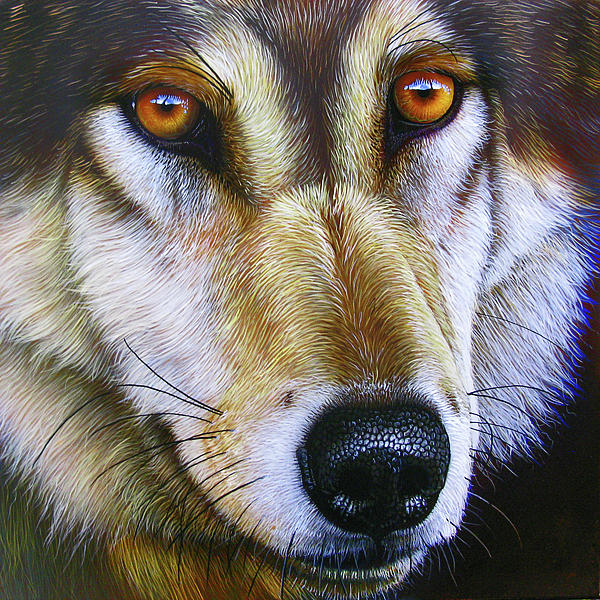 Save the Wolf Painting  - Save the Wolf Fine Art Print