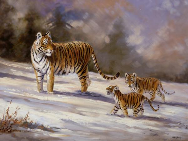  - siberian-tiger-family-silvia-duran