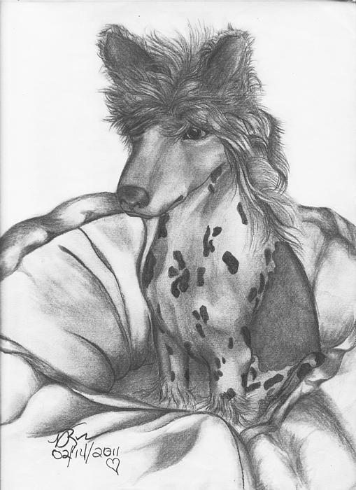 Buff Drawing