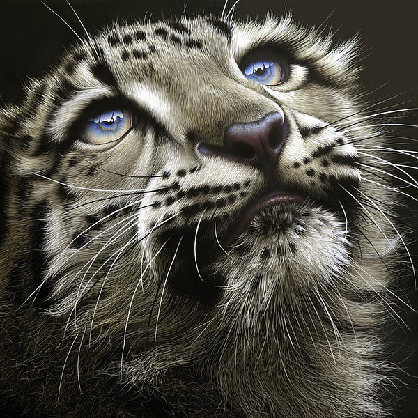 Snow Leopard Cub Painting  - Snow Leopard Cub Fine Art Print