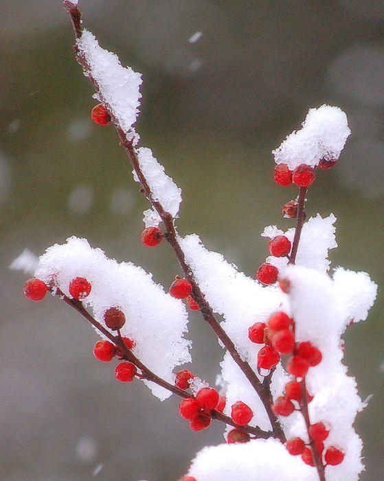 Гороскоп на сегодня близнецы 2013, Секс сонник толкование снов.