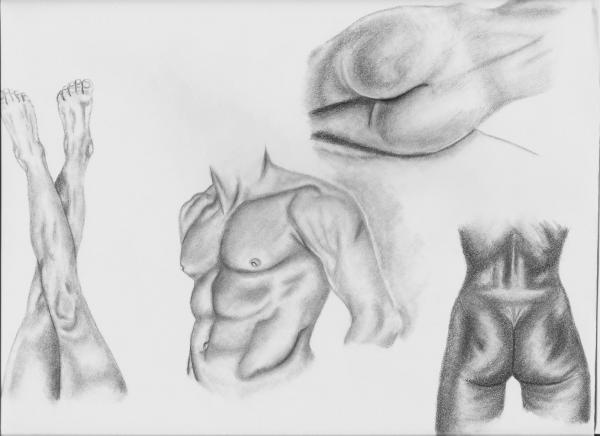 anatomy and drawing