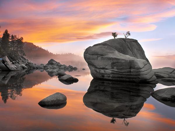 Bonsai Tree Sunset