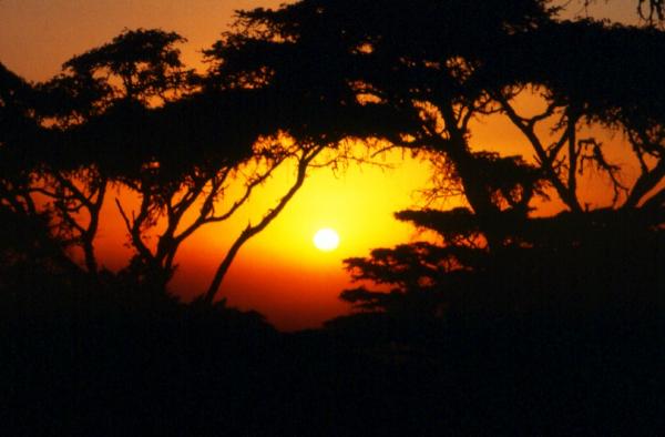 Sunset Near Ngorongoro Crater