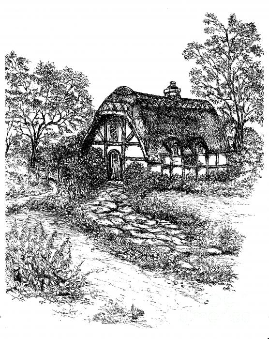 cottage drawing