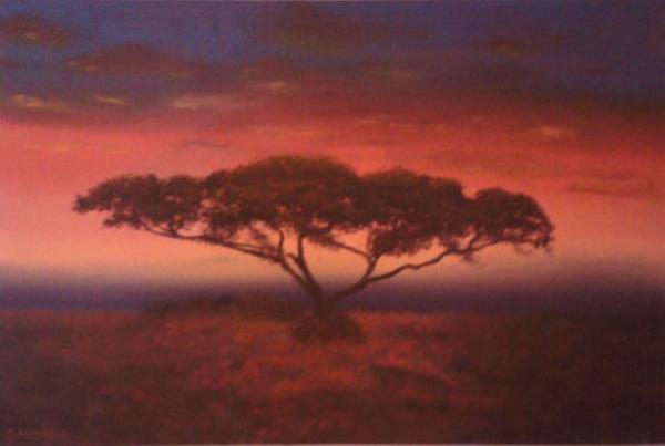 acacia tree painting