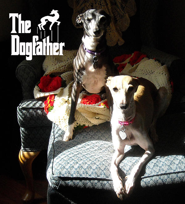dogfather movie poster
