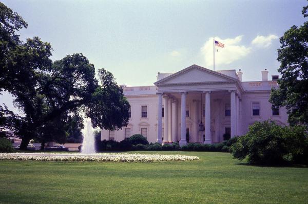 House And Lawn