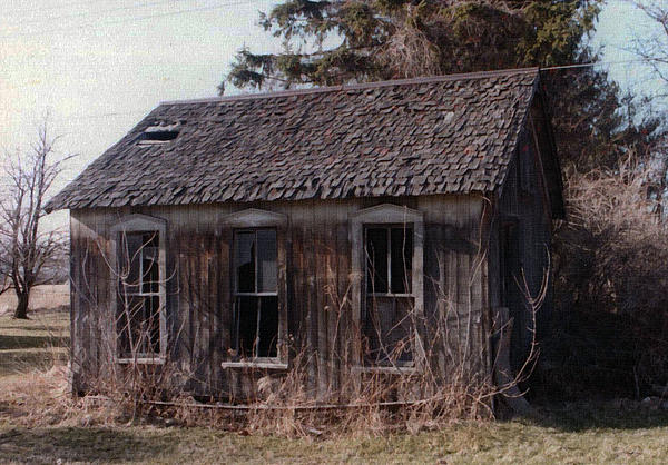 Old Wood Shed