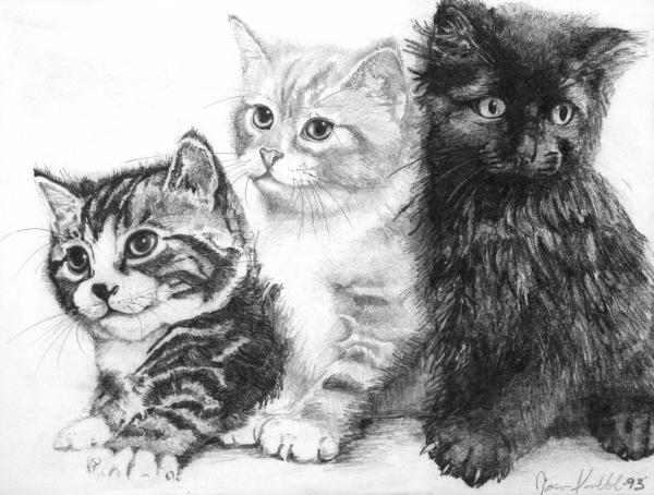 kittens drawing