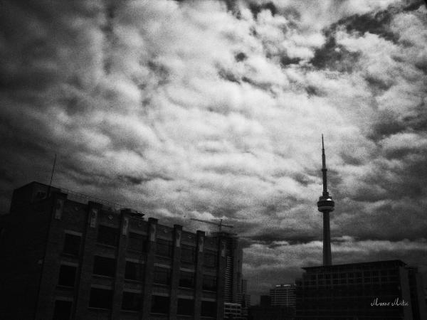 black toronto