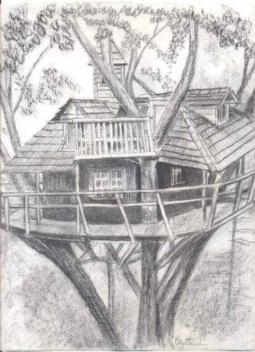 House Drawings