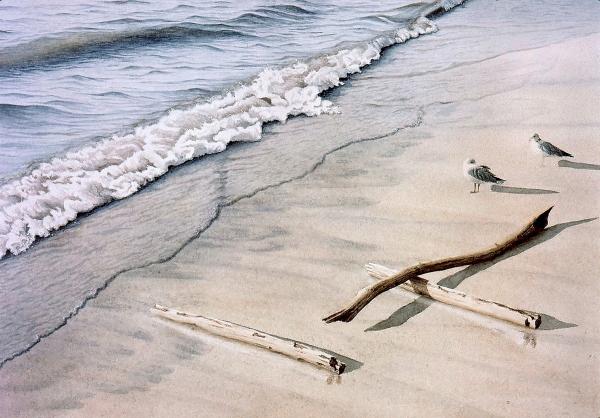 beach surf images