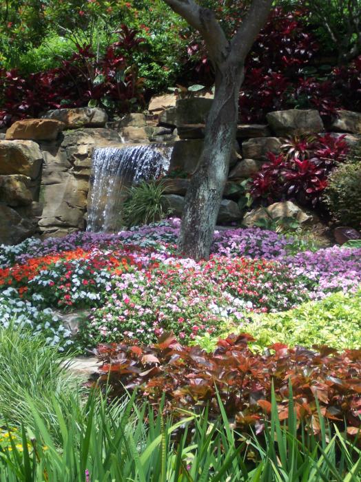 Flowers Waterfall