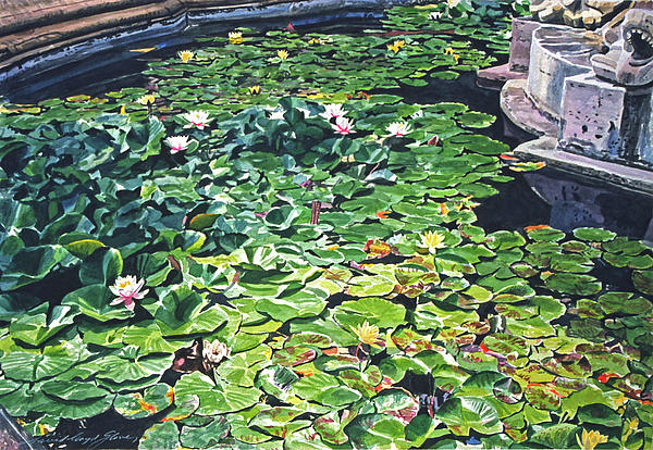 Waterlilies Huntington Fountain Painting  - Waterlilies Huntington Fountain Fine Art Print