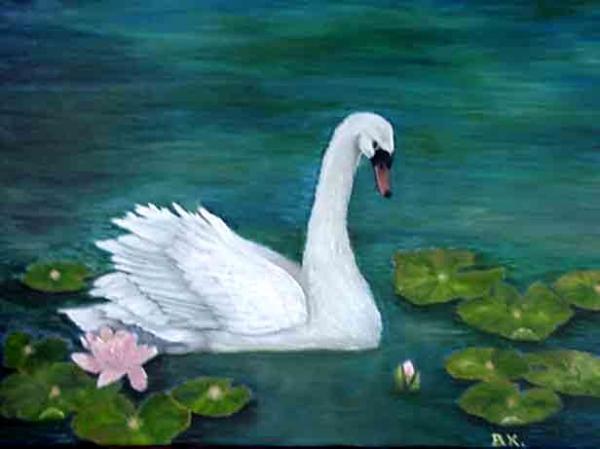 Whisper - Mute Swan by Barbara King