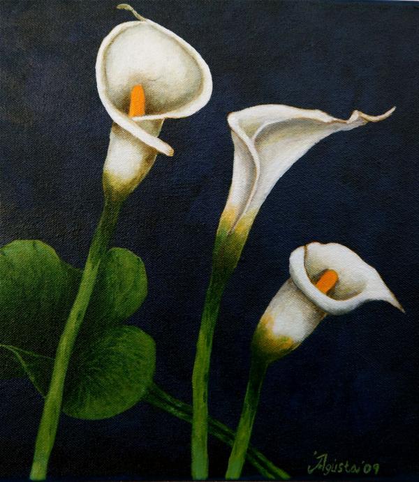 white calla