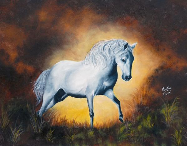 White Stallion Horse