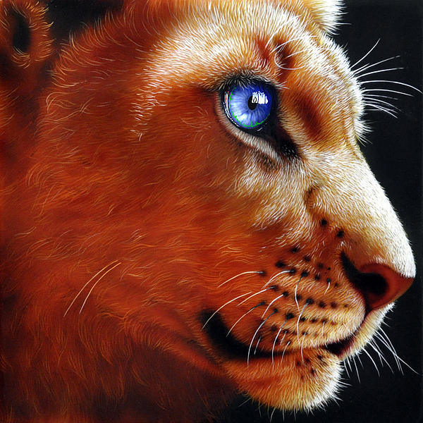 Young Lion Painting  - Young Lion Fine Art Print