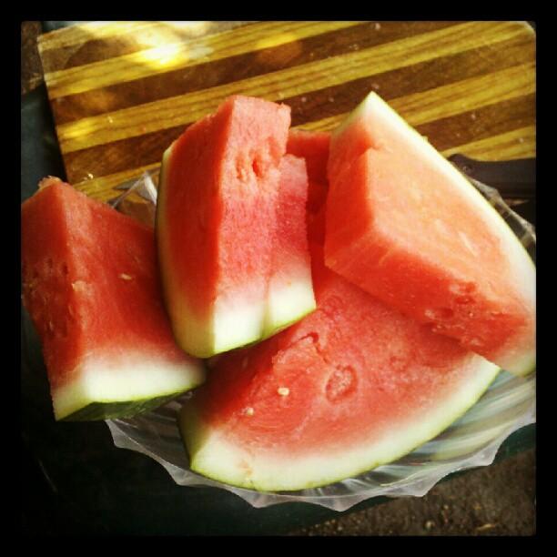 Watermelon Summer