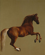 Famous Artists - Whistlejacket by George Stubbs