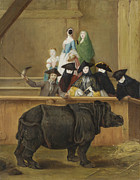 Famous Artists - Exhibition of a Rhinoceros at Venice by Pietro Longhi