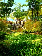  - jamaican-garden-laura-buskirk