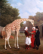 Famous Artists - Nubian Giraffe by Jacques-Laurent Agasse