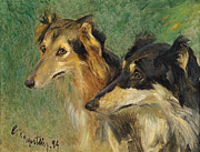 Famous Artists - Portrait of two Borzoi dogs by Carl Friedrich Kappstein