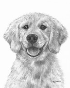 Golden retriever puppy drawing