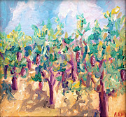  - vineyard-in-the-afternoon-sun-todd-bandy