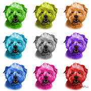 http://images.fineartamerica.com/images-small-5/west-highland-terrier-mix-8674-wb-m-james-ahn.jpg