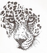 African Animals Drawings