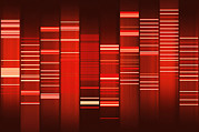Complex Posters - Website Source Code Visualisation Poster by Web2dna-baekdal.com