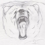 Angry Bear Drawing