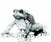 Toad Art