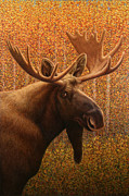 moose poster