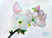 Flowers - Dew and Smell of Almond Flowers by Augusta Stylianou