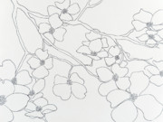 Dogwood+blossom+drawing